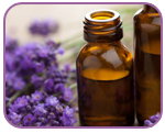 Aromatherapy Massage with Maddy Wilson